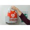 Schiller Fred Pa-1 Automatic Aed Defibrillator