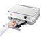 Canon Pixma TS5351a A4 Wireless All-In-One Colour Inkjet Printer, White