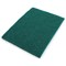 Economy Flat Scourer Pads, 150x115mm, Green, Pack of 10