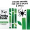 Cheeky Panda Plastic Free Bamboo Kitchen Roll, 2-Ply, 10 Rolls of 100 Sheets