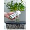 Cheeky Panda Bamboo Pocket Tissues, 3-Ply, 96 Packs of 10 Sheets