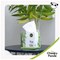 Cheeky Panda Facial Tissues, 3-Ply, 12 Cubes of 56 Sheets