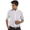 Beeswift Classic Shirt, Short Sleeve, White, 17.5