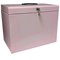 Cathedral File Box with 5 Suspension Files A4 Pastel Pink