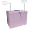 Cathedral File Box with 5 Suspension Files A4 Pastel Pink