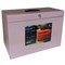 Cathedral File Box with 5 Suspension Files Foolscap Pastel Pink