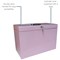 Cathedral File Box with 5 Suspension Files Foolscap Pastel Pink