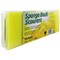 Sponge Scourer Non-Scratch Heavy Duty, Pack of 10