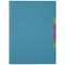 Durable Pagna 5-part Folder A4 Light Blue (Pack of 10)