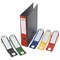 Durable Ordofix Self-adhesive PVC Spine Labels for Lever Arch File, Assorted, Pack of 10