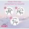 Evian Natural Still Water, Plastic Bottles, 500ml, Pack of 24