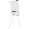 Bi-Office Earth Kyoto Tripod Magnetic Easel, With Paper Roll, With Extendable Arms, 700x1000mm, Silver