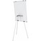 Bi-Office Earth Kyoto Tripod Magnetic Easel, 700x1000mm, Silver