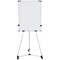 Bi-Office Earth Kyoto Mobile Non-Magnetic Easel, With Paper Roll, With Extendable Arms, 700x1000mm, Silver
