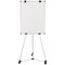 Bi-Office Earth Kyoto Mobile Non-Magnetic Easel, 700x1000mm, Silver