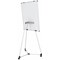 Bi-Office Earth Kyoto Mobile Non-Magnetic Easel, 700x1000mm, Silver