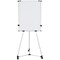 Bi-Office Earth Kyoto Mobile Magnetic Easel, With Paper Roll, With Extendable Arms, 700x1000mm, Silver
