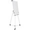Bi-Office Earth Kyoto Mobile Magnetic Easel, With Paper Roll, With Extendable Arms, 700x1000mm, Silver