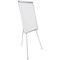 Bi-Office Earth Non-Magnetic Tripod Easel, 700x1000mm, Silver