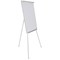 Bi-Office Earth Non-Magnetic Tripod Easel, 700x1000mm, Silver