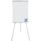 Bi-Office Earth Non-Magnetic Tripod Easel, 700x1000mm, Silver