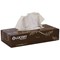 Lucart EcoNatural Facial Tissues, 2-Ply, 40 Boxes of 100 Sheets