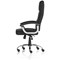 Moore Deluxe Executive Chair, Fixed Height Arms, Black