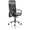 Vegas Executive Mesh Back Chair, Fixed Height Arms, Black