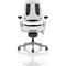 Zure Executive Chair, Height Adjustable Arms, Black - Delivered Built