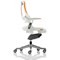 Zure Elastomer Executive Chair, Height Adjustable Arms, Orange
