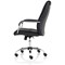 Carter Luxury Chair, Fixed Height Arms, Black