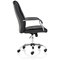 Carter Luxury Chair, Fixed Height Arms, Black