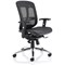 Mirage II Mesh Executive Chair, Height Adjustable Arms, Black