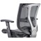 Mirage II Mesh Executive Chair, Height Adjustable Arms, Black