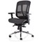 Mirage II Mesh Executive Chair, Height Adjustable Arms, Black