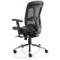 Mirage II Mesh Executive Chair, Height Adjustable Arms, Black