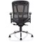 Mirage II Mesh Executive Chair, Height Adjustable Arms, Black