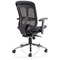Mirage II Mesh Executive Chair, Height Adjustable Arms, Black