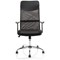 Vegalite Executive Mesh Chair, Fixed Height Arms, Black Vegalite Executive Mesh Chair, Fixed Height Arms, Black
