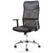Vegalite Executive Mesh Chair, Fixed Height Arms, Black Vegalite Executive Mesh Chair, Fixed Height Arms, Black