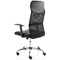 Vegalite Executive Mesh Chair, Fixed Height Arms, Black Vegalite Executive Mesh Chair, Fixed Height Arms, Black