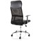 Vegalite Executive Mesh Chair, Fixed Height Arms, Black