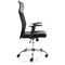 Vegalite Executive Mesh Chair, Fixed Height Arms, Black Vegalite Executive Mesh Chair, Fixed Height Arms, Black