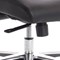 Mien Executive Chair, Fixed Height Arms, Black & Mink - Delivered Built