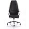 Mien Executive Chair, Fixed Height Arms, Black & Mink