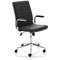Ezra Executive Chair, Fixed Height Arms, Black