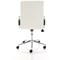 Ezra Chair, Fixed Height Arms, White