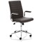 Ezra Executive Chair, Fixed Height Arms, Brown