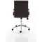 Ezra Executive Chair, Fixed Height Arms, Brown