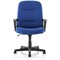 Medium Back Managers Chair - Blue